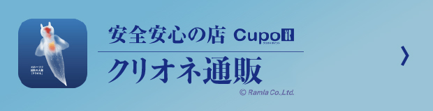 クリオネ通販